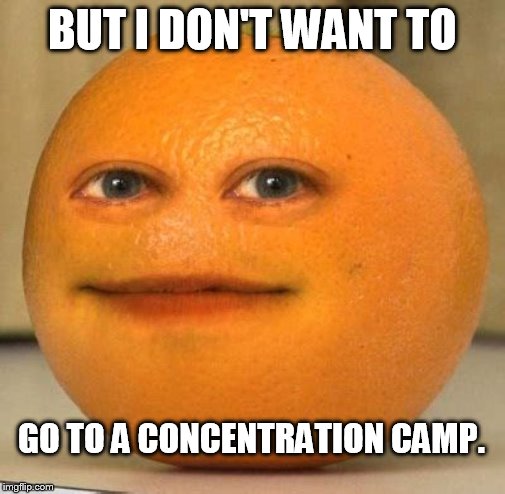 Annoying Orange Suprised | BUT I DON'T WANT TO; GO TO A CONCENTRATION CAMP. | image tagged in annoying orange suprised | made w/ Imgflip meme maker