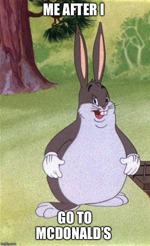 Big Chungus | ME AFTER I; GO TO MCDONALD’S | image tagged in big chungus | made w/ Imgflip meme maker