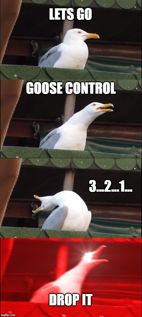 Inhaling Seagull Meme | LETS GO; GOOSE CONTROL; 3...2...1... DROP IT | image tagged in memes,inhaling seagull | made w/ Imgflip meme maker