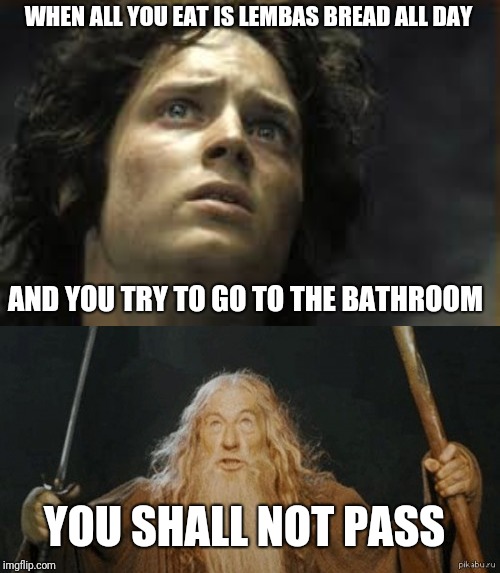 Oh no, poor Frodo! | WHEN ALL YOU EAT IS LEMBAS BREAD ALL DAY; AND YOU TRY TO GO TO THE BATHROOM; YOU SHALL NOT PASS | image tagged in constipation,gandalf you shall not pass,lotr,you shall not pass,poop,funny memes | made w/ Imgflip meme maker