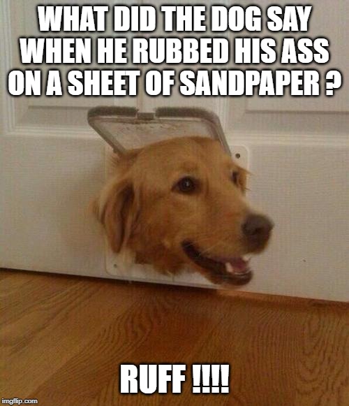 Dog door | WHAT DID THE DOG SAY WHEN HE RUBBED HIS ASS ON A SHEET OF SANDPAPER ? RUFF !!!! | image tagged in dog door | made w/ Imgflip meme maker