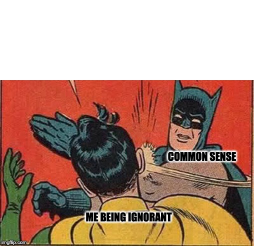 Batman Slapping Robin | COMMON SENSE; ME BEING IGNORANT | image tagged in memes,batman slapping robin | made w/ Imgflip meme maker