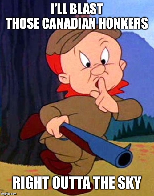 Elmer Fudd | I’LL BLAST THOSE CANADIAN HONKERS RIGHT OUTTA THE SKY | image tagged in elmer fudd | made w/ Imgflip meme maker