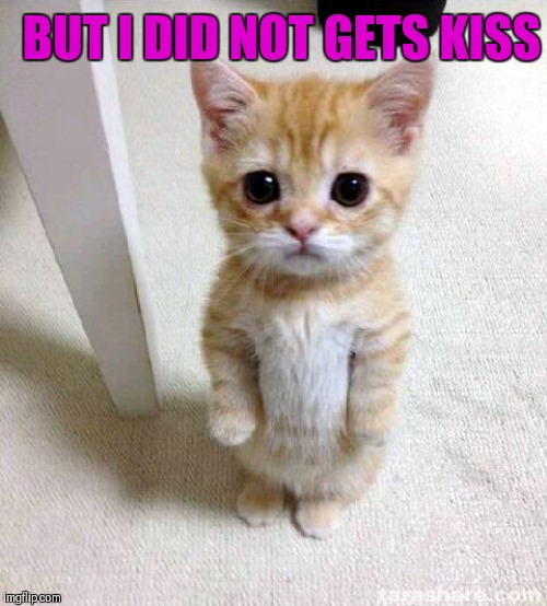 Cute Cat Meme | BUT I DID NOT GETS KISS | image tagged in memes,cute cat | made w/ Imgflip meme maker