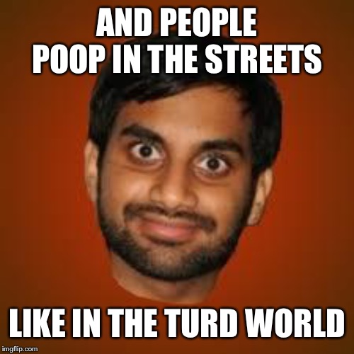 Indian guy | AND PEOPLE POOP IN THE STREETS LIKE IN THE TURD WORLD | image tagged in indian guy | made w/ Imgflip meme maker