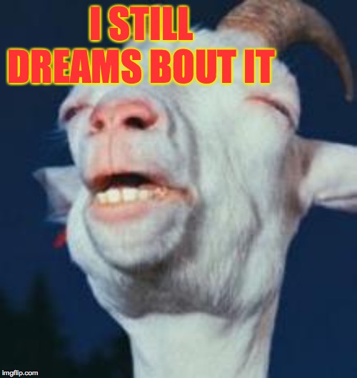 goat | I STILL DREAMS BOUT IT | image tagged in goat | made w/ Imgflip meme maker