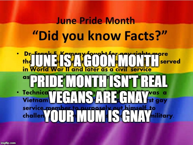 Gnay Month | JUNE IS A GOON MONTH; PRIDE MONTH ISN'T REAL; VEGANS ARE GNAY; YOUR MUM IS GNAY | image tagged in meme | made w/ Imgflip meme maker