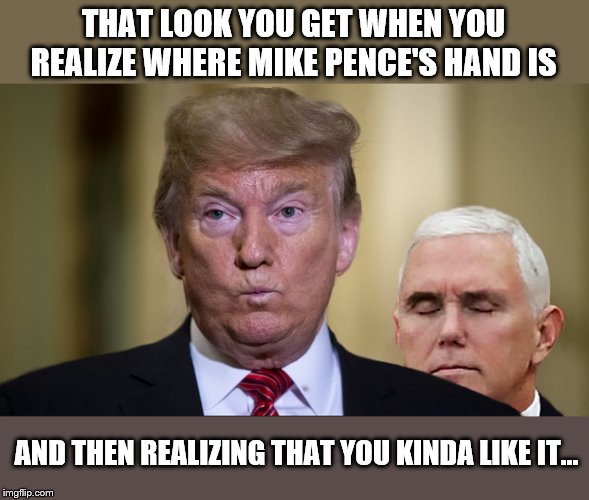 His Right Hand Man | THAT LOOK YOU GET WHEN YOU REALIZE WHERE MIKE PENCE'S HAND IS; AND THEN REALIZING THAT YOU KINDA LIKE IT... | image tagged in mike pence,donald trump,soulmates,true love,forever | made w/ Imgflip meme maker