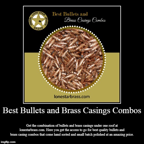 Best Bullets and Brass Casings Combos | image tagged in best,bullets,brss,casing | made w/ Imgflip demotivational maker