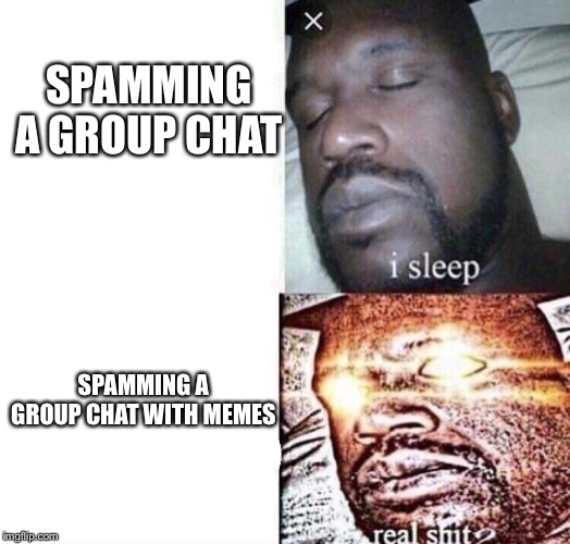 Real Shit | SPAMMING A GROUP CHAT; SPAMMING A GROUP CHAT WITH MEMES | image tagged in real shit | made w/ Imgflip meme maker