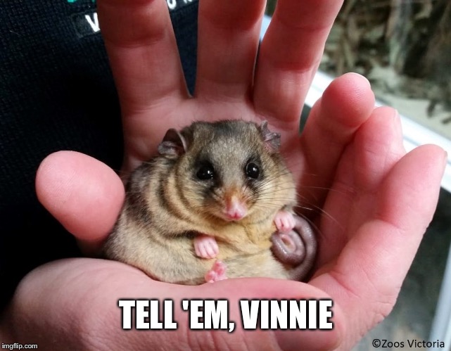 Nugget the Phat | TELL 'EM, VINNIE | image tagged in spaceballs | made w/ Imgflip meme maker
