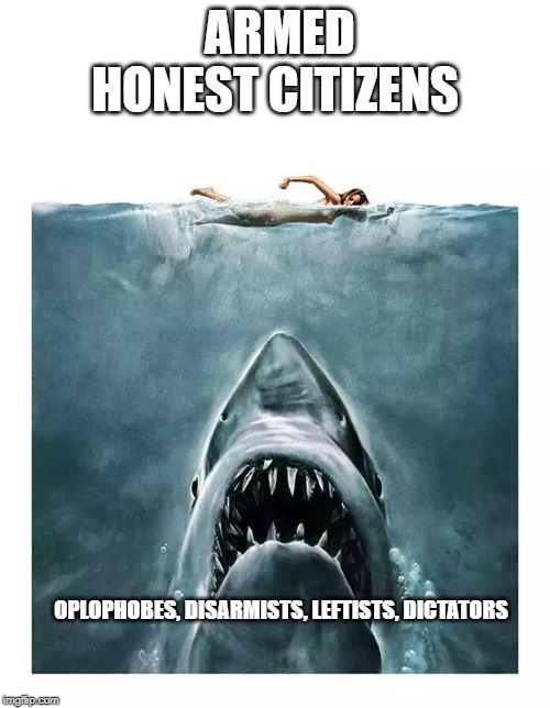 armed citizens | ARMED HONEST CITIZENS; OPLOPHOBES, DISARMISTS, LEFTISTS, DICTATORS | image tagged in gun control | made w/ Imgflip meme maker