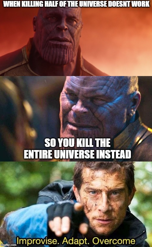Thanos improvises. | WHEN KILLING HALF OF THE UNIVERSE DOESNT WORK; SO YOU KILL THE ENTIRE UNIVERSE INSTEAD | image tagged in thanos | made w/ Imgflip meme maker