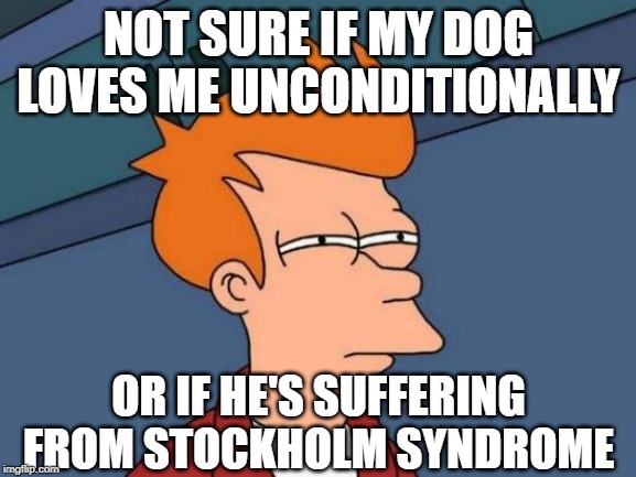 Puppy Love? | NOT SURE IF MY DOG LOVES ME UNCONDITIONALLY; OR IF HE'S SUFFERING FROM STOCKHOLM SYNDROME | image tagged in memes,futurama fry,dog,love | made w/ Imgflip meme maker