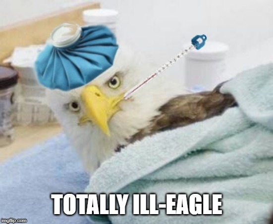 Totally Ill-Eagle | TOTALLY ILL-EAGLE | image tagged in illegal | made w/ Imgflip meme maker