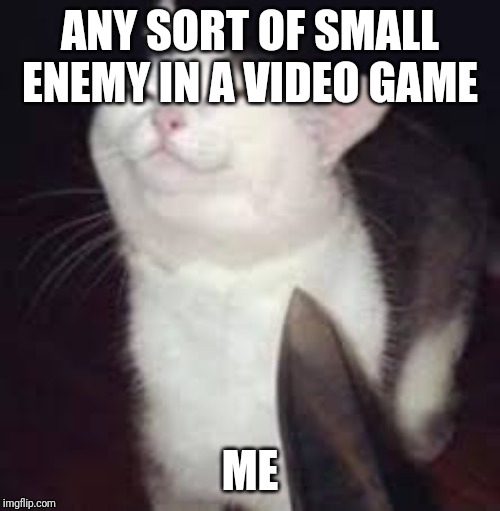 Smug cat = any small enemy | ANY SORT OF SMALL ENEMY IN A VIDEO GAME; ME | image tagged in smug cat,knife | made w/ Imgflip meme maker