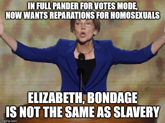 Elizabeth Warren | IN FULL PANDER FOR VOTES MODE, NOW WANTS REPARATIONS FOR HOMOSEXUALS; ELIZABETH, BONDAGE IS NOT THE SAME AS SLAVERY | image tagged in elizabeth warren | made w/ Imgflip meme maker