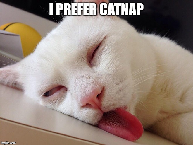 tired cat | I PREFER CATNAP | image tagged in tired cat | made w/ Imgflip meme maker