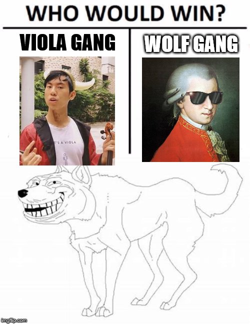 WOLF GANG; VIOLA GANG | image tagged in memes,who would win | made w/ Imgflip meme maker