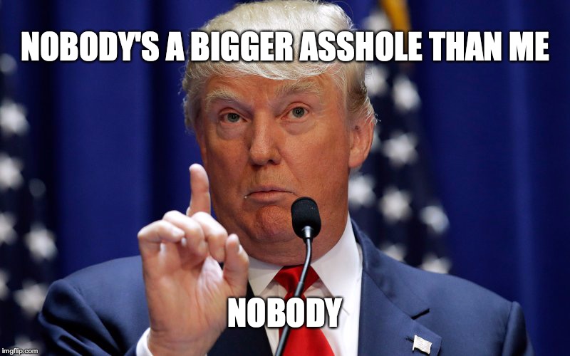 Donald Trump | NOBODY'S A BIGGER ASSHOLE THAN ME; NOBODY | image tagged in donald trump | made w/ Imgflip meme maker