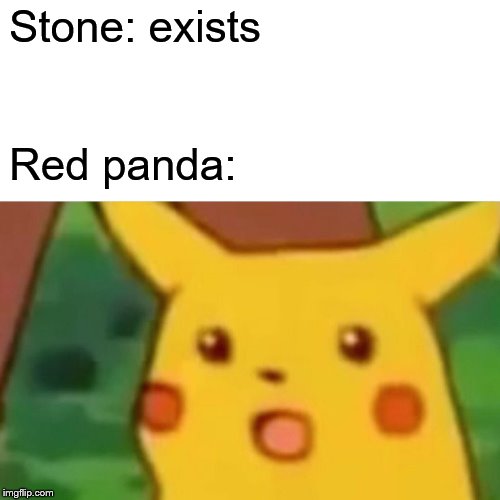 Surprised Pikachu Meme | Stone: exists Red panda: | image tagged in memes,surprised pikachu | made w/ Imgflip meme maker