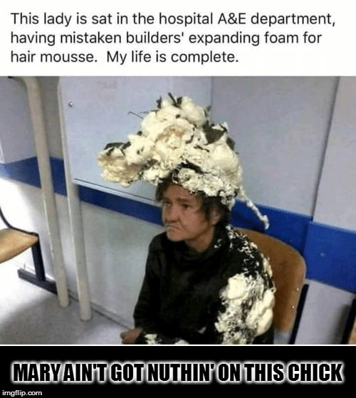 There's Something About... | MARY AIN'T GOT NUTHIN' ON THIS CHICK | image tagged in memes,fun,expanding foam,there's something about mary | made w/ Imgflip meme maker