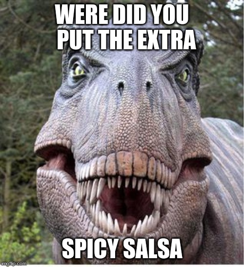 WERE DID YOU    PUT THE EXTRA; SPICY SALSA | image tagged in t rex | made w/ Imgflip meme maker