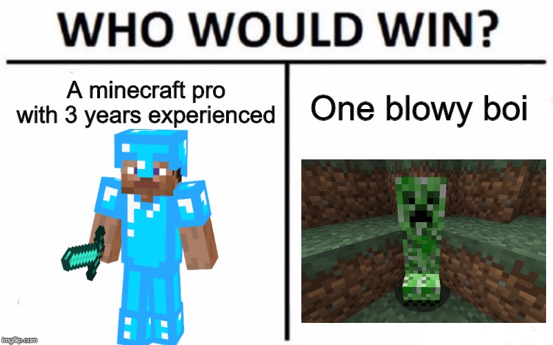 Who Would Win? Meme | A minecraft pro with 3 years experienced; One blowy boi | image tagged in memes,who would win | made w/ Imgflip meme maker