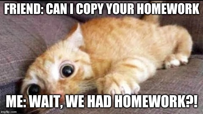 Homework | FRIEND: CAN I COPY YOUR HOMEWORK; ME: WAIT, WE HAD HOMEWORK?! | image tagged in funny | made w/ Imgflip meme maker