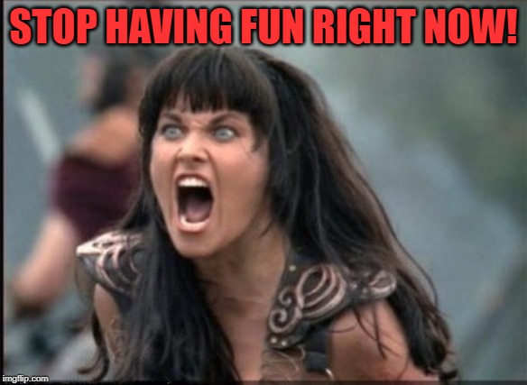 Screaming Woman | STOP HAVING FUN RIGHT NOW! | image tagged in screaming woman | made w/ Imgflip meme maker