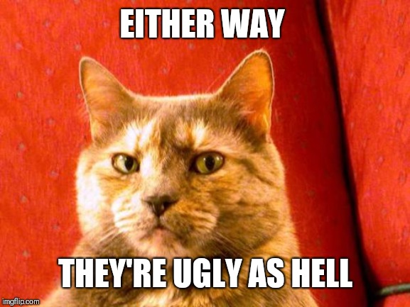 Suspicious Cat Meme | EITHER WAY THEY'RE UGLY AS HELL | image tagged in memes,suspicious cat | made w/ Imgflip meme maker