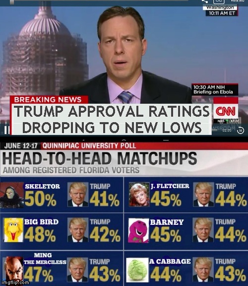 CNN Polls | TRUMP APPROVAL RATINGS
DROPPING TO NEW LOWS | image tagged in cnn breaking news template,memes,cnn fake news | made w/ Imgflip meme maker