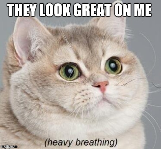 Heavy Breathing Cat Meme | THEY LOOK GREAT ON ME | image tagged in memes,heavy breathing cat | made w/ Imgflip meme maker