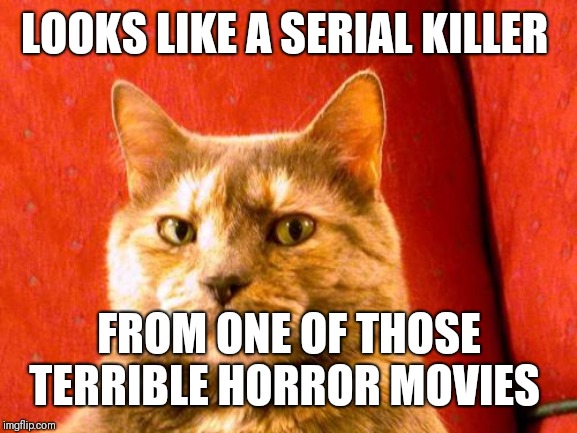 Suspicious Cat Meme | LOOKS LIKE A SERIAL KILLER FROM ONE OF THOSE TERRIBLE HORROR MOVIES | image tagged in memes,suspicious cat | made w/ Imgflip meme maker