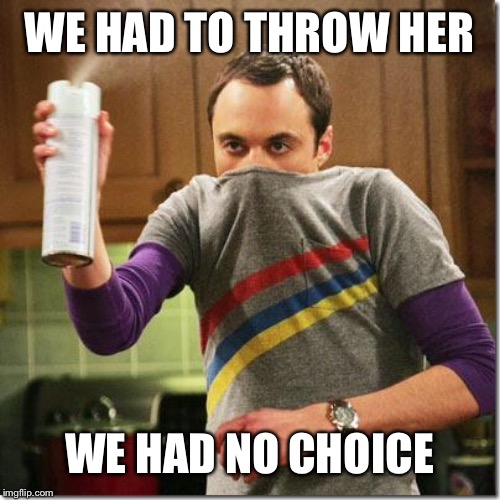 air freshener sheldon cooper | WE HAD TO THROW HER WE HAD NO CHOICE | image tagged in air freshener sheldon cooper | made w/ Imgflip meme maker