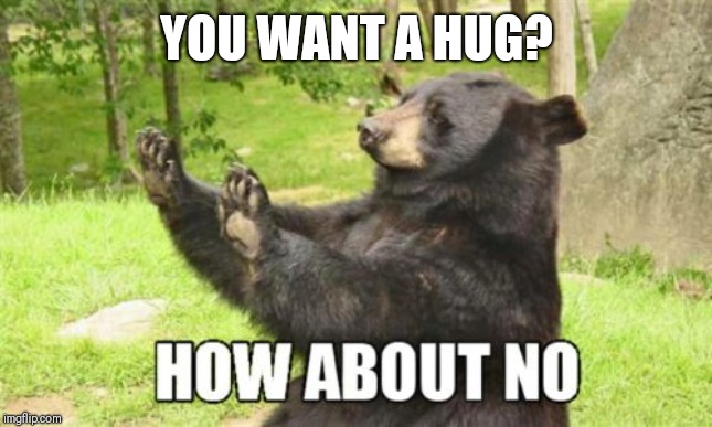 How About No Bear Meme | YOU WANT A HUG? | image tagged in memes,how about no bear | made w/ Imgflip meme maker