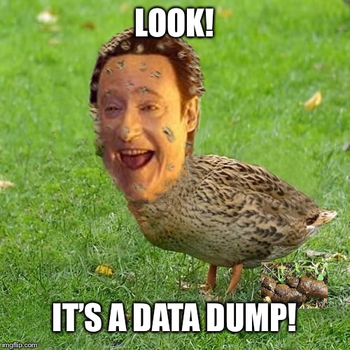 The Data Duck | LOOK! IT’S A DATA DUMP! | image tagged in the data duck | made w/ Imgflip meme maker