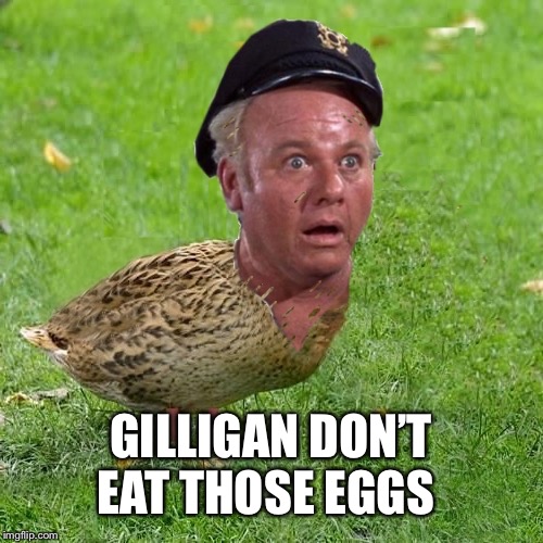 Skipper Duck | GILLIGAN DON’T EAT THOSE EGGS | image tagged in skipper duck | made w/ Imgflip meme maker
