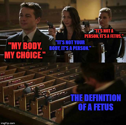 Stick up | "IT'S NOT A PERSON, IT'S A FETUS."; "MY BODY, MY CHOICE."; "IT'S NOT YOUR BODY, IT'S A PERSON."; THE DEFINITION OF A FETUS | image tagged in stick up | made w/ Imgflip meme maker