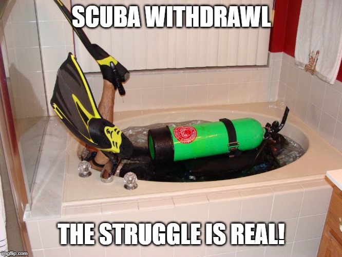 Landlocked Scuba Diver | SCUBA WITHDRAWL; THE STRUGGLE IS REAL! | image tagged in landlocked scuba diver | made w/ Imgflip meme maker