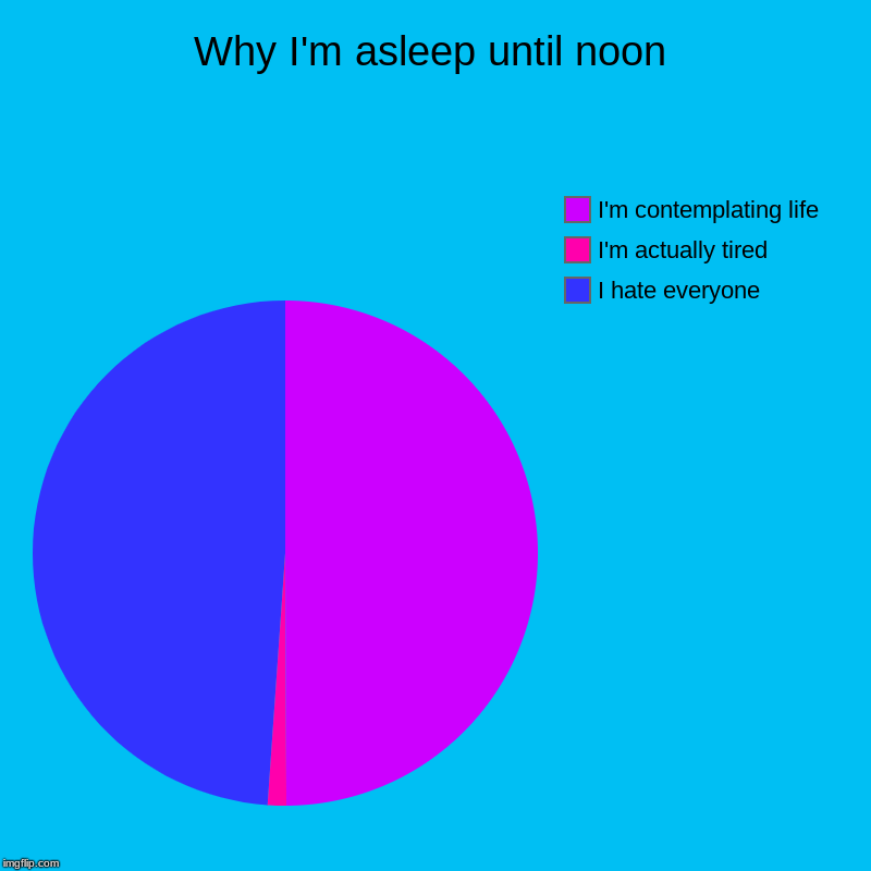 Why I'm asleep until noon | I hate everyone, I'm actually tired, I'm contemplating life | image tagged in charts,pie charts | made w/ Imgflip chart maker