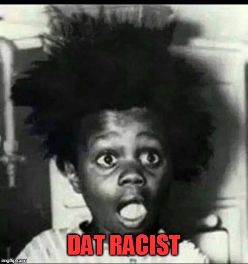 buckwheat shocked | DAT RACIST | image tagged in buckwheat shocked | made w/ Imgflip meme maker