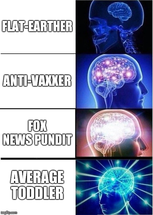 Have To Have One To Expand It | FLAT-EARTHER; ANTI-VAXXER; FOX NEWS PUNDIT; AVERAGE TODDLER | image tagged in memes,expanding brain,flat earthers,anti vax,fox news | made w/ Imgflip meme maker