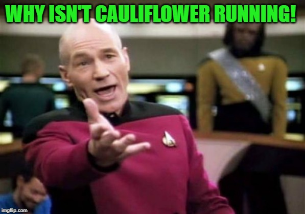Picard Wtf Meme | WHY ISN'T CAULIFLOWER RUNNING! | image tagged in memes,picard wtf | made w/ Imgflip meme maker