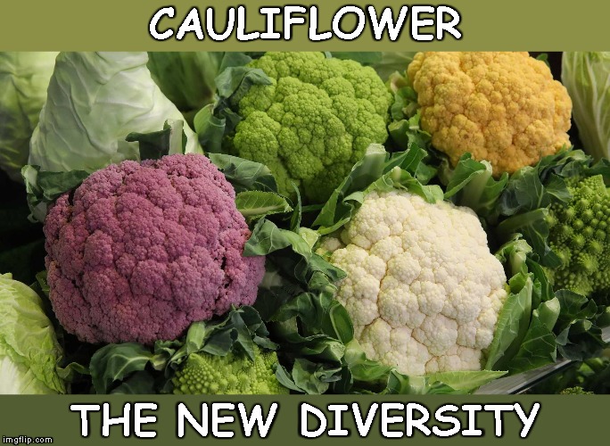 CAULIFLOWER THE NEW DIVERSITY | made w/ Imgflip meme maker