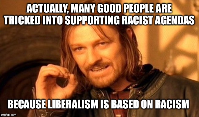 One Does Not Simply Meme | ACTUALLY, MANY GOOD PEOPLE ARE TRICKED INTO SUPPORTING RACIST AGENDAS BECAUSE LIBERALISM IS BASED ON RACISM | image tagged in memes,one does not simply | made w/ Imgflip meme maker