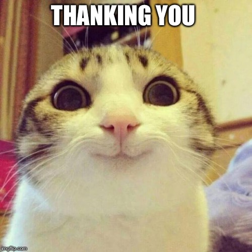 Smiling Cat Meme | THANKING YOU | image tagged in memes,smiling cat | made w/ Imgflip meme maker