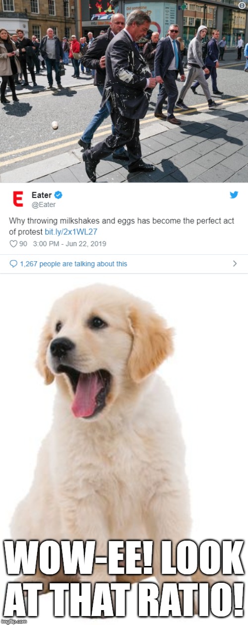 When leftist Vox owns a foodie site. Lispy Beer? | WOW-EE! LOOK AT THAT RATIO! | image tagged in memes,wow,puppy,vox,protest,liberalism | made w/ Imgflip meme maker
