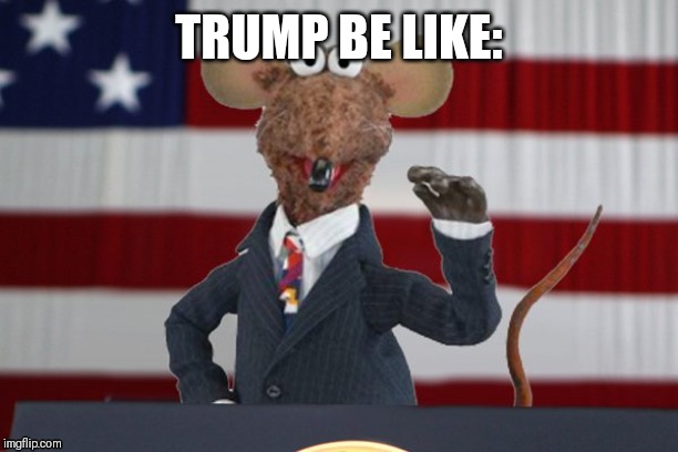 TRUMP BE LIKE: | image tagged in trump,donald trump | made w/ Imgflip meme maker