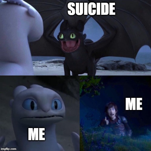 night fury | SUICIDE; ME; ME | image tagged in night fury | made w/ Imgflip meme maker
